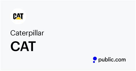Caterpillar Inc Stock Forecast, Predictions & Price Target .